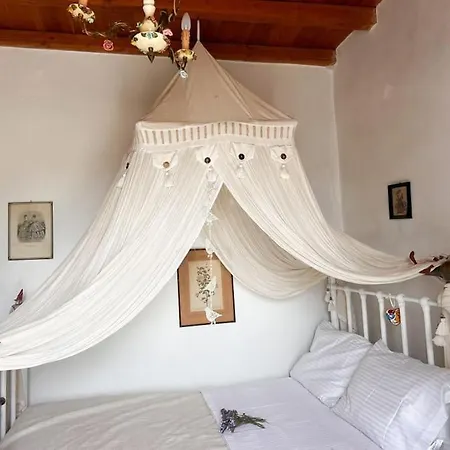 Amalia Casa de Férias